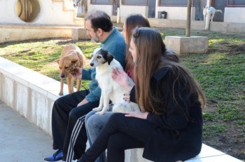 ????????????????????????????????????