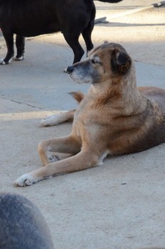 ????????????????????????????????????