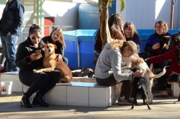 ????????????????????????????????????