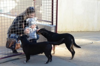 ????????????????????????????????????