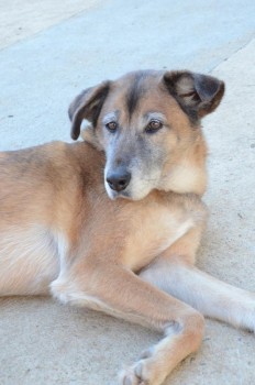 ????????????????????????????????????