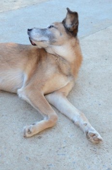 ????????????????????????????????????