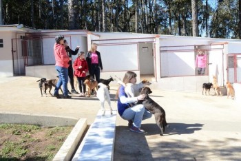 ????????????????????????????????????