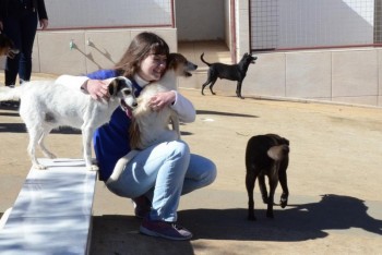 ????????????????????????????????????