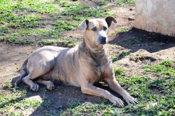 ????????????????????????????????????