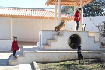 ????????????????????????????????????