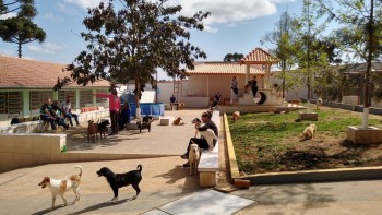 Abrigo de Cães São Francisco de Assis (11)