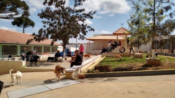 Abrigo de Cães São Francisco de Assis (1)