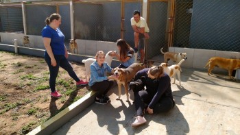 Abrigo de Cães São Francisco de Assis (15)