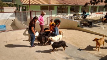 Abrigo de Cães São Francisco de Assis (16)