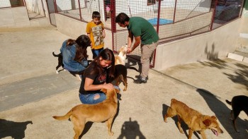 Abrigo de Cães São Francisco de Assis (17)