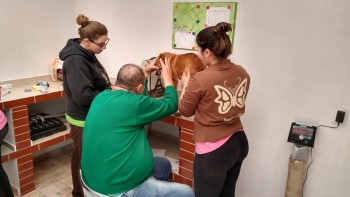 Abrigo de Cães São Francisco de Assis (2)