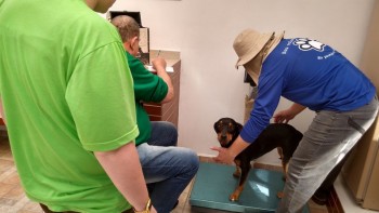 Abrigo de Cães São Francisco de Assis (21)