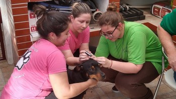 Abrigo de Cães São Francisco de Assis (22)