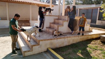 Abrigo de Cães São Francisco de Assis (23)
