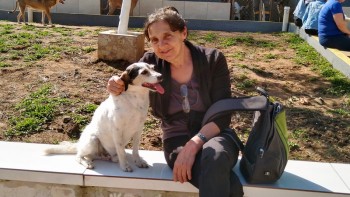 Abrigo de Cães São Francisco de Assis (24)