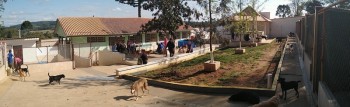Abrigo de Cães São Francisco de Assis (25)