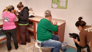 Abrigo de Cães São Francisco de Assis (4)