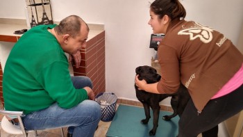 Abrigo de Cães São Francisco de Assis (5)