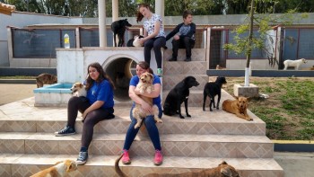 Abrigo de Cães São Francisco de Assis (8)