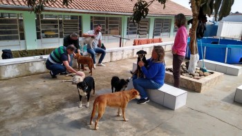 Abrigo de Cães São Francisco de Assis (9)