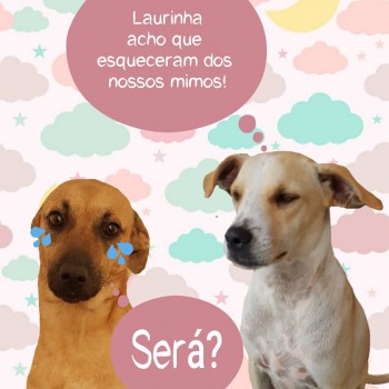 Será que nossos aumiguinhos ficarão sem mimo de Dia das Crianças