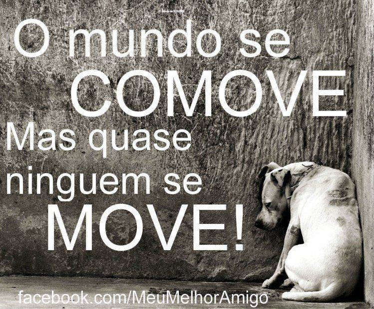 Animal não é mercadoria e abrigo não é depósito