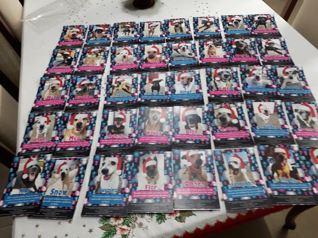 Adote uma cartinha e doe mimos para os cães do Abrigo São Francisco de Assis (1)