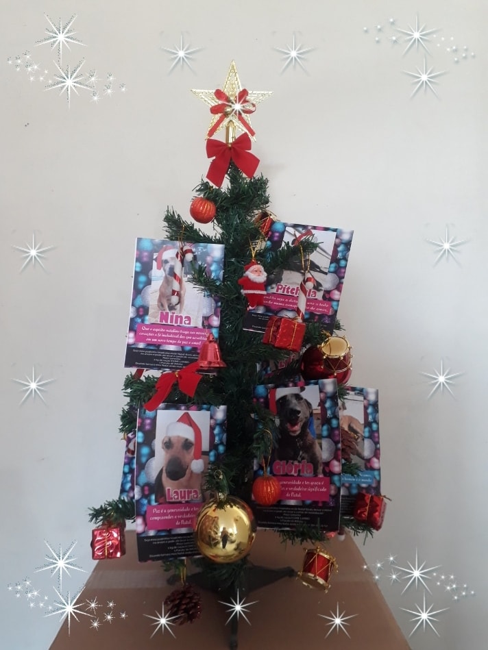 Adote uma cartinha e doe mimos para os cães do Abrigo São Francisco de Assis (2)