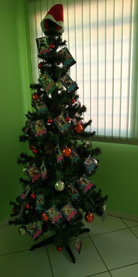 Adote uma cartinha e doe mimos para os cães do Abrigo São Francisco de Assis (3)