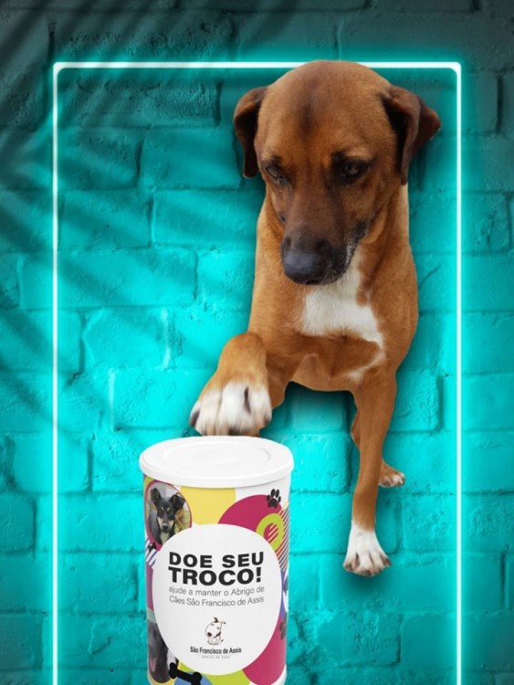 O seu troco pode ajudar a salvar vidas