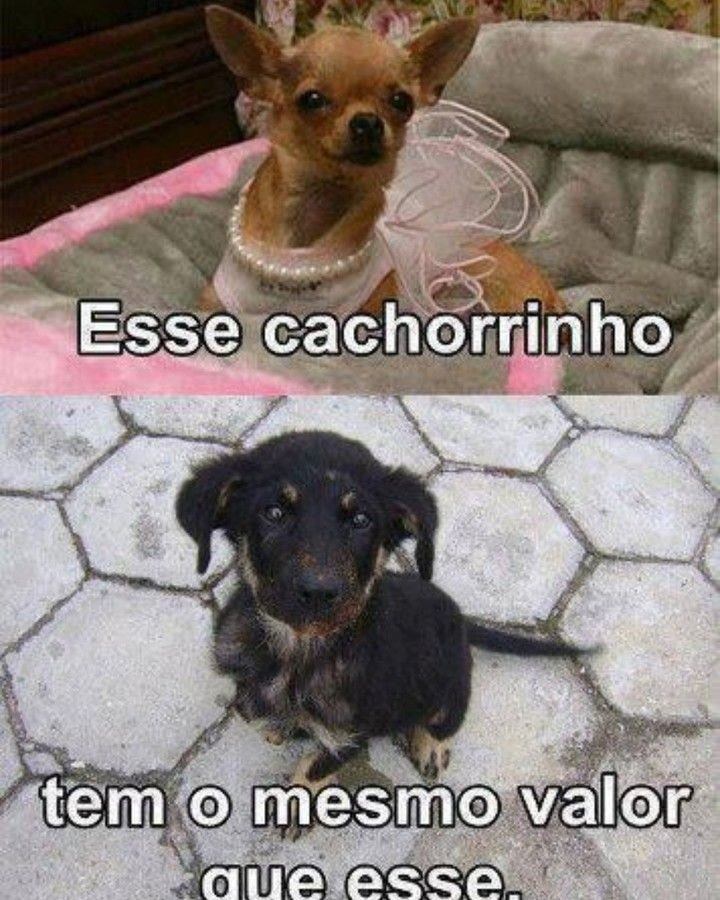 Infelizmente essa é a triste realidade!