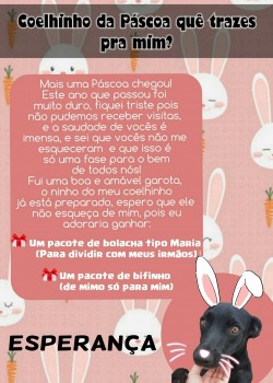 Páscoa 2021 - Mimos (14)