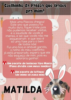 Páscoa 2021 - Mimos (24)