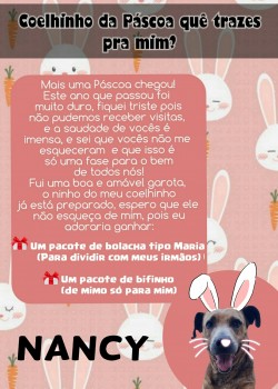 Páscoa 2021 - Mimos (27)