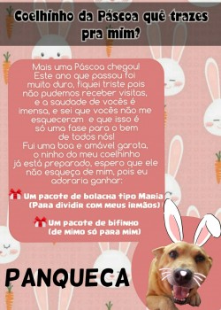 Páscoa 2021 - Mimos (29)