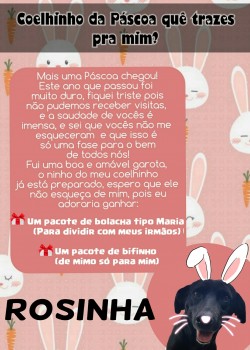 Páscoa 2021 - Mimos (36)