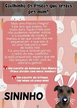 Páscoa 2021 - Mimos (39)