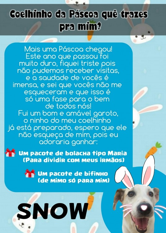 Páscoa 2021 - Mimos (40)
