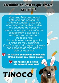 Páscoa 2021 - Mimos (43)