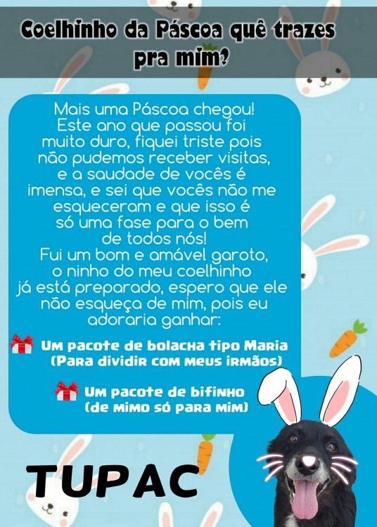 Páscoa 2021 - Mimos (44)