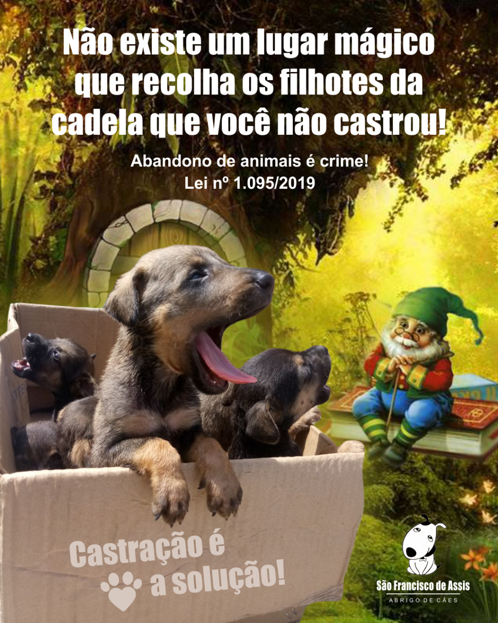 Castração é a solução!