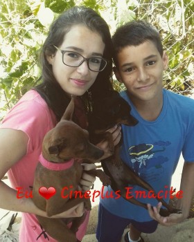 Promoção “Eu amo cachorro e o Cineplus Emacite” (10)