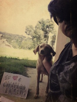 Promoção “Eu amo cachorro e o Cineplus Emacite” (29)