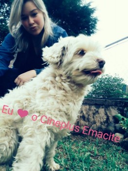 Promoção “Eu amo cachorro e o Cineplus Emacite” (5)