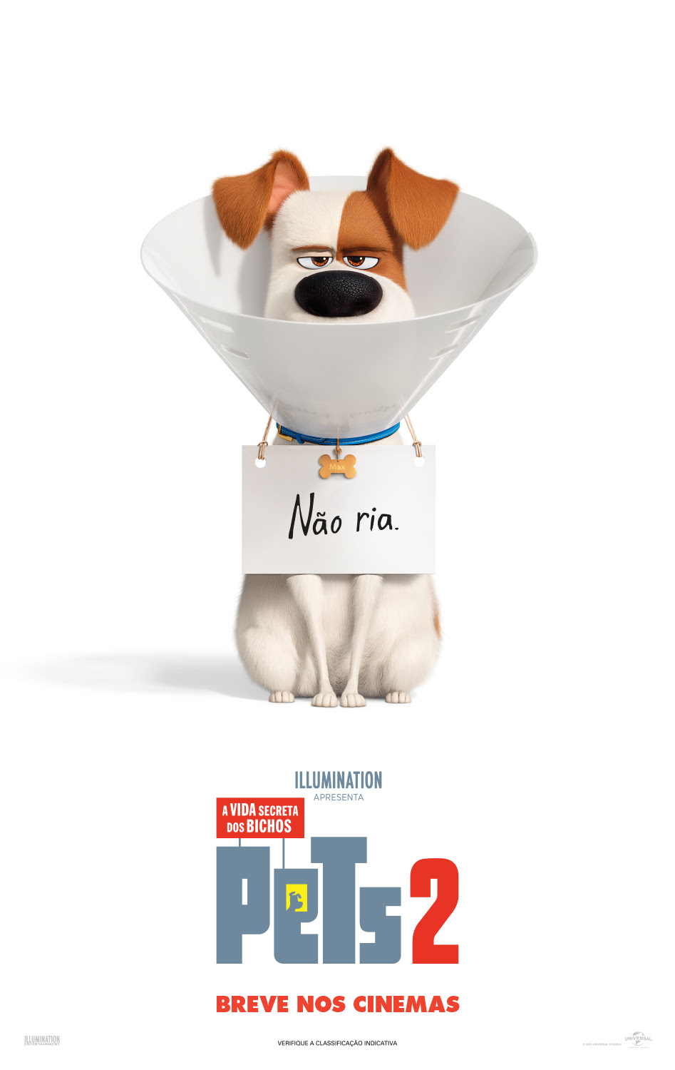 Pets A Vida Secreta dos Bichos 2