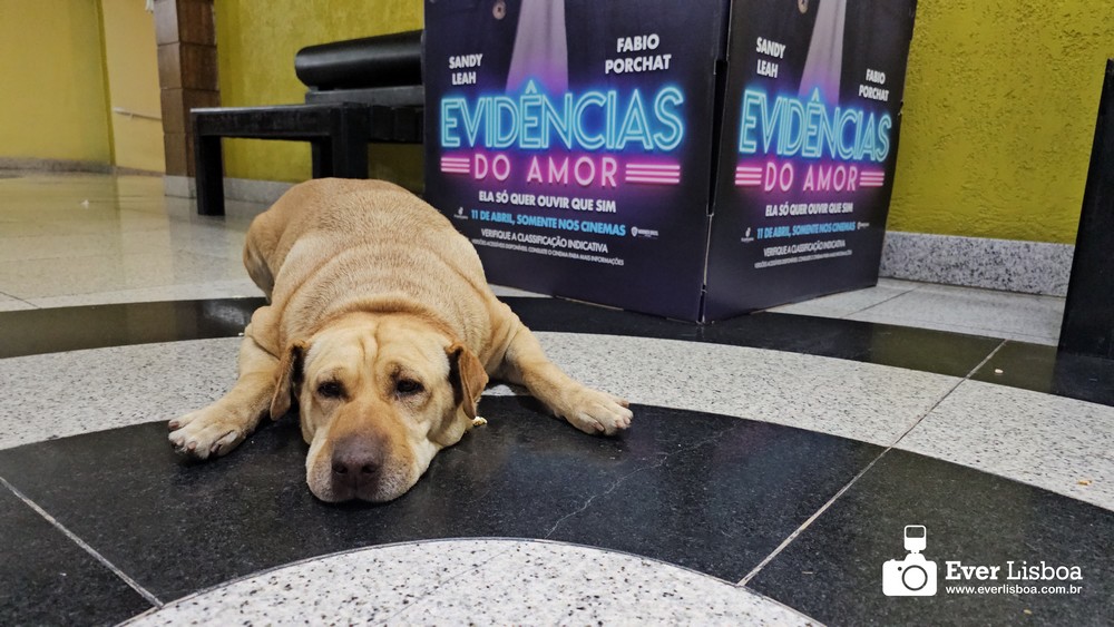 Cinema Azul reúne grande público no Cineplus Emacite (19)