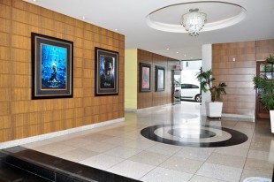 Trabalhe no cinema! Há vagas disponíveis no Cineplus Emacite, em Mafra