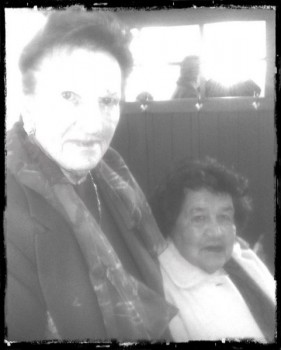 Damas das Camélias! (2)