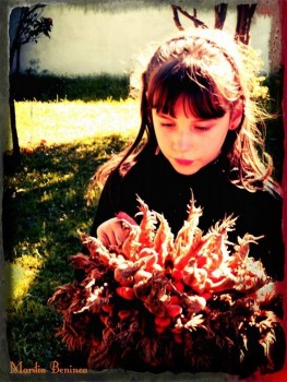 Elisa Beninca Dias Lopes